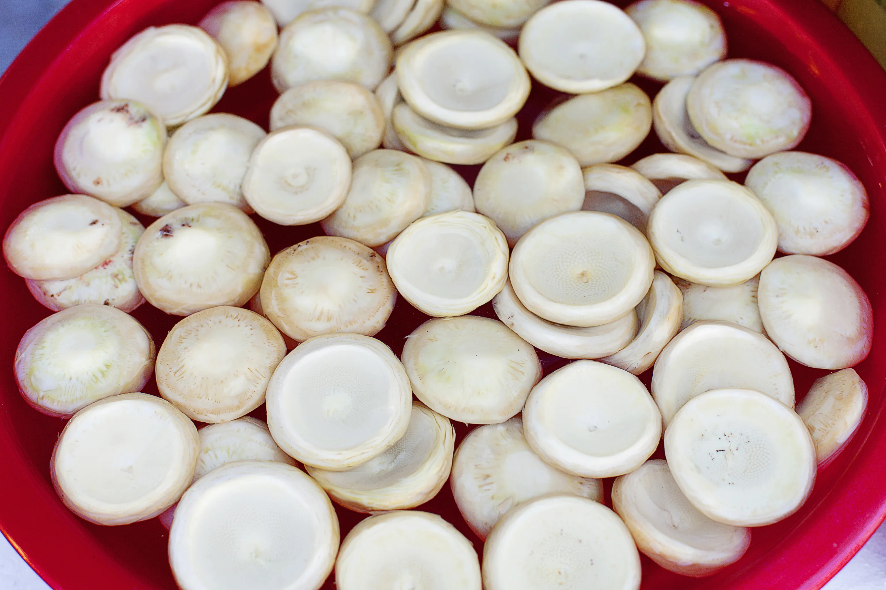 Trimmed fresh artichoke bottoms in lemon water at a stall near the Grand Bazaar
