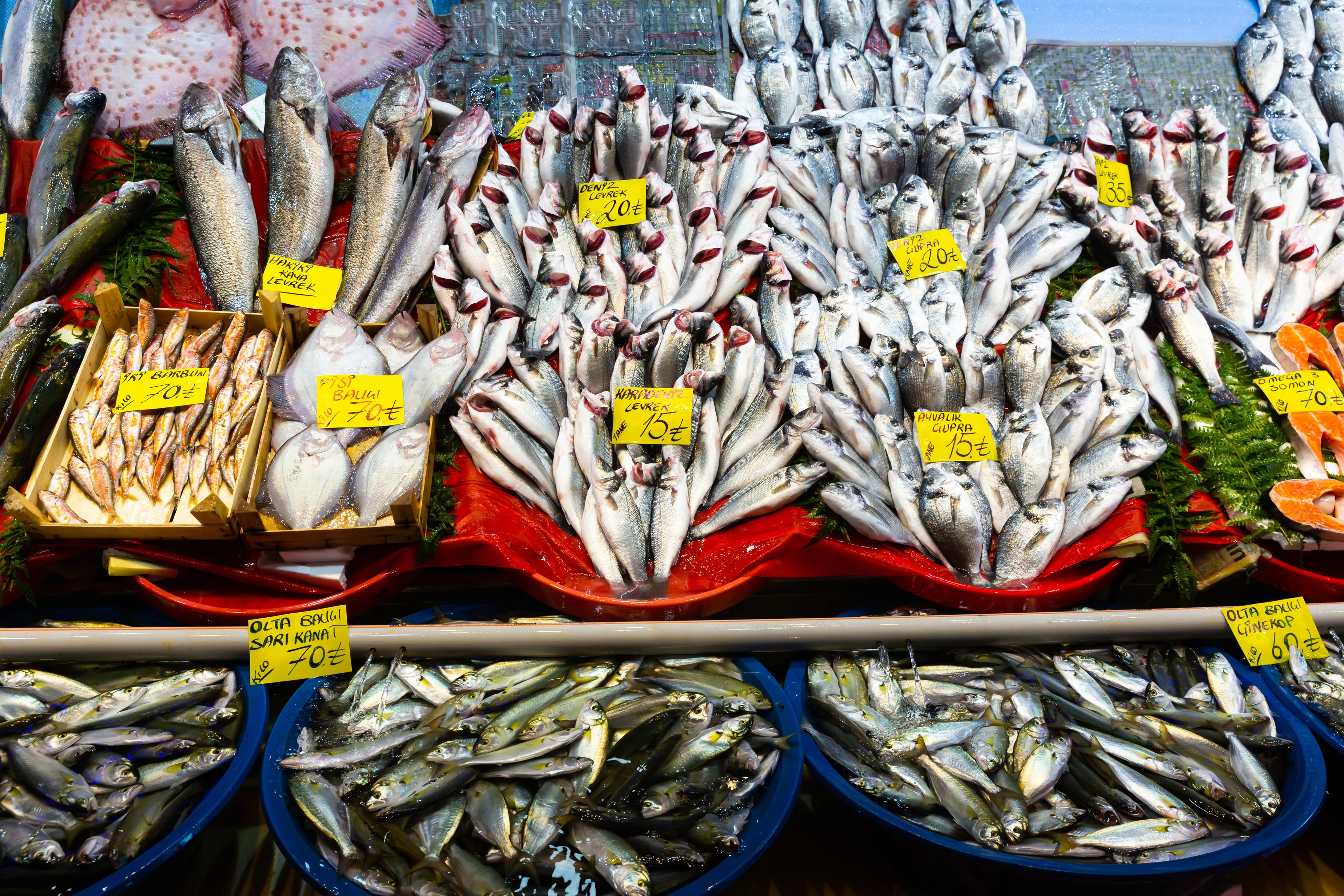 Fresh sea fish laid out on a counter at an Istanbul bazaar with Turkish price tags