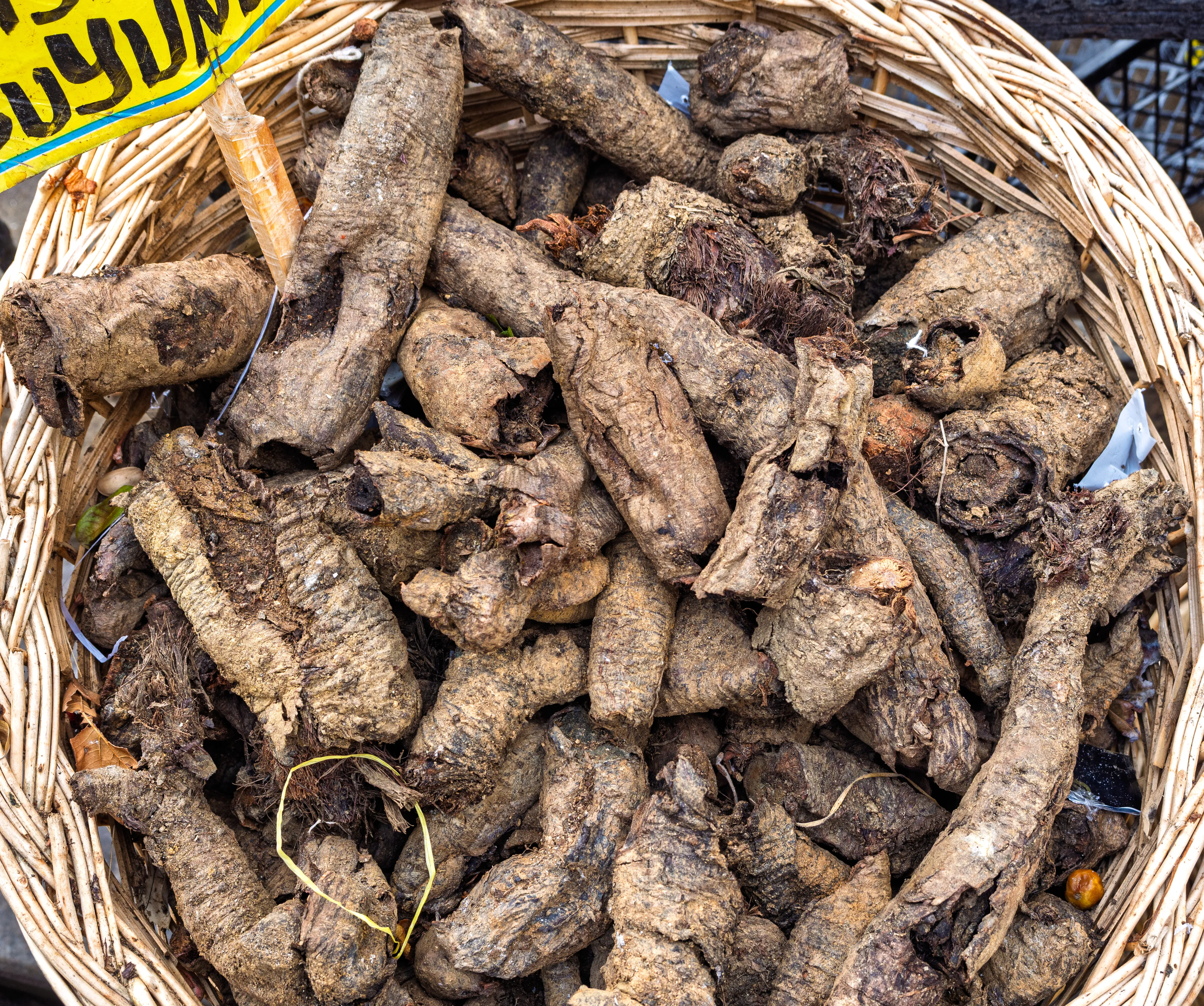 A basket of dried salep roots (wild orchid tubers) at an Istanbul market, used to make the traditional Turkish winter drink