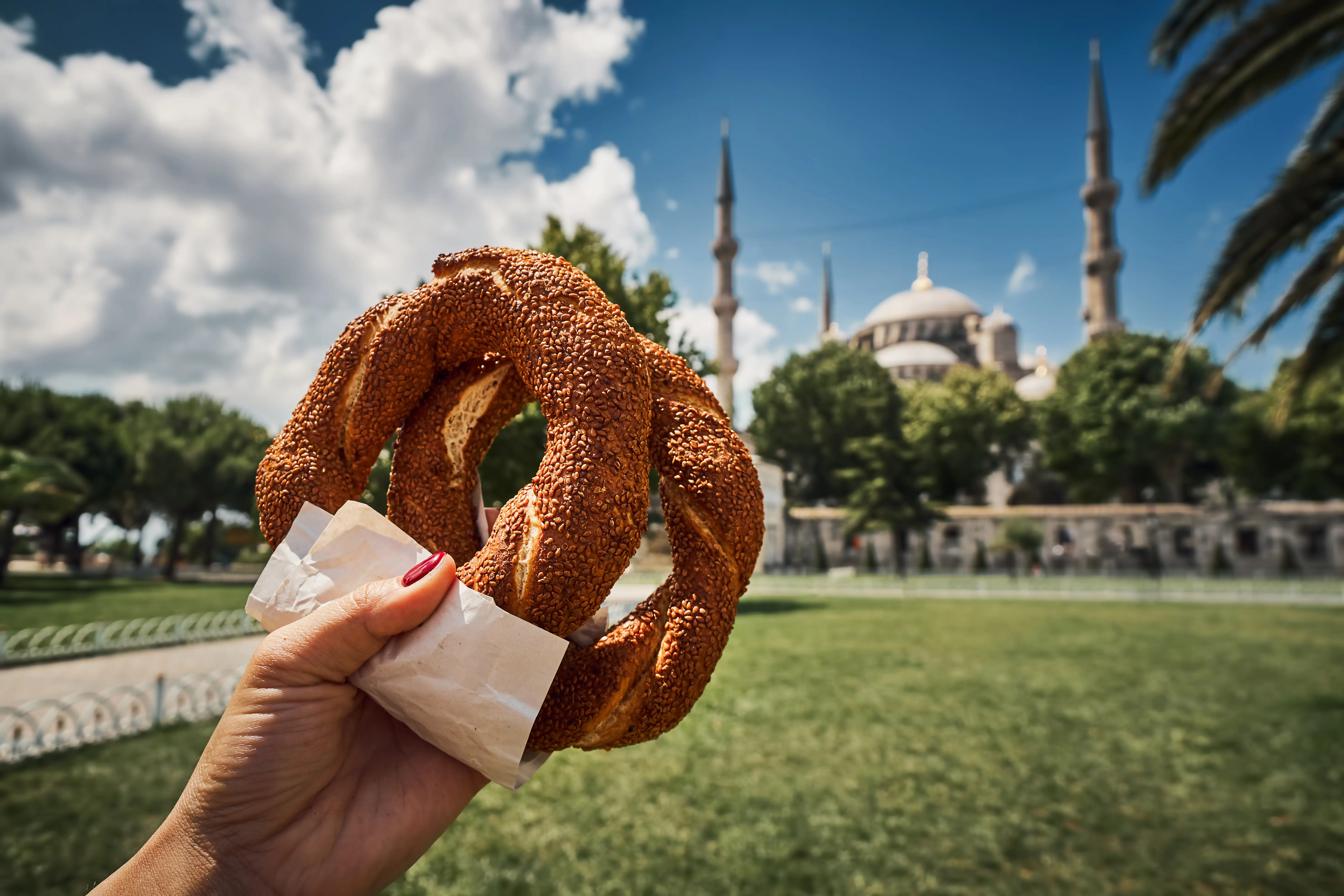 A simit sesame-bread ring in the foreground with the Blue Mosque in Sultanahmet behind