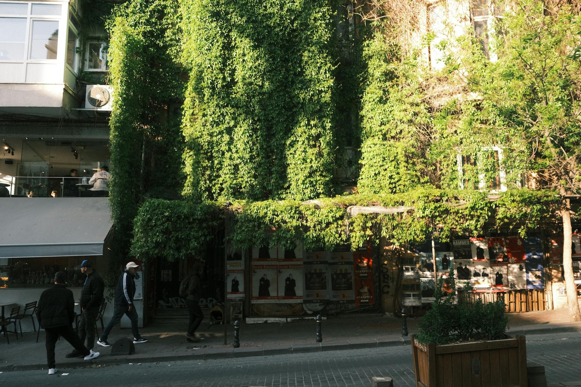 A leafy, ivy-covered café façade on a quiet Cihangir back street in Istanbul